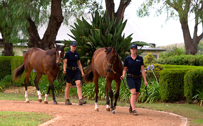 2018 Magic Millions Gold Coast